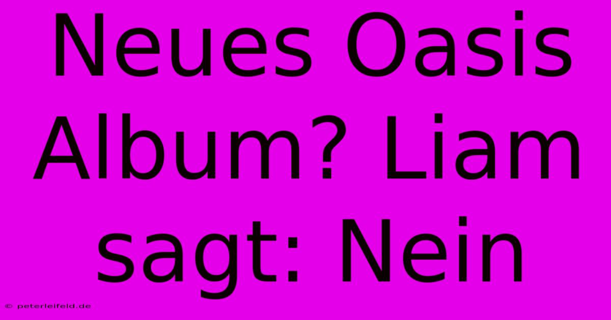 Neues Oasis Album? Liam Sagt: Nein