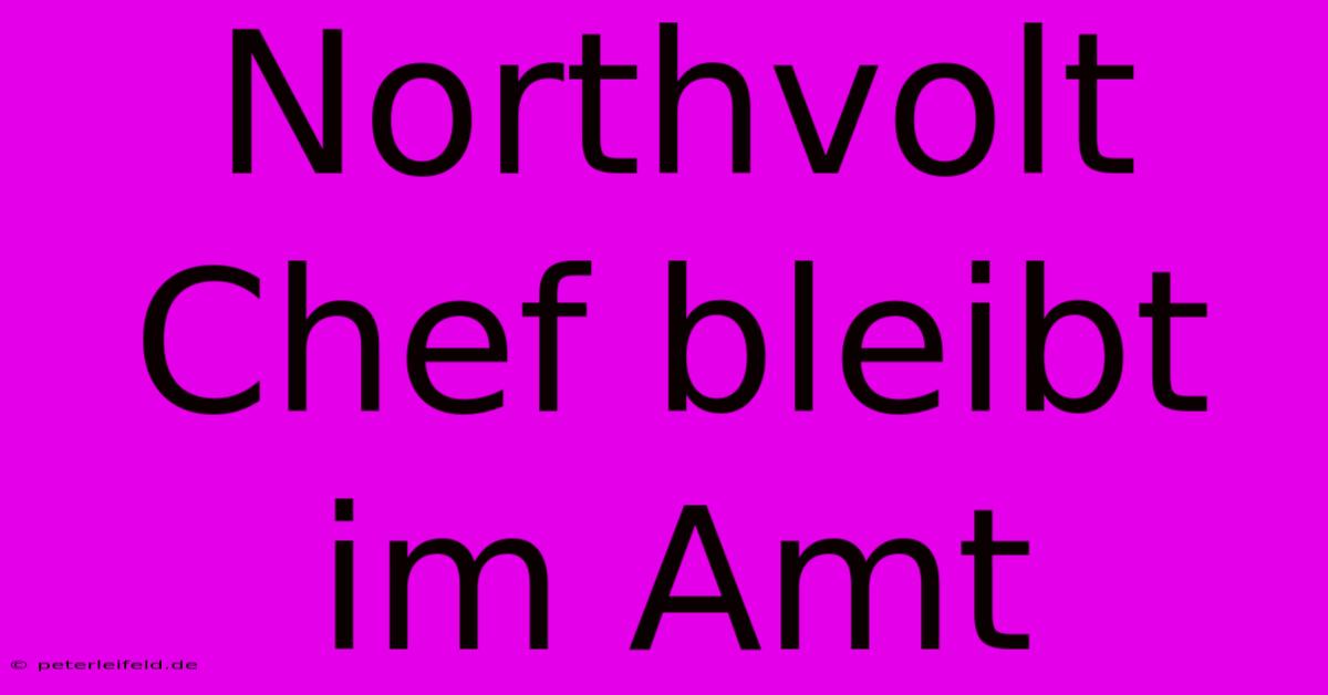 Northvolt Chef Bleibt Im Amt