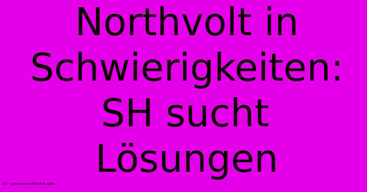 Northvolt In Schwierigkeiten: SH Sucht Lösungen