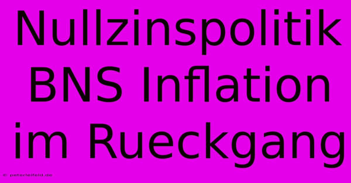 Nullzinspolitik BNS Inflation Im Rueckgang