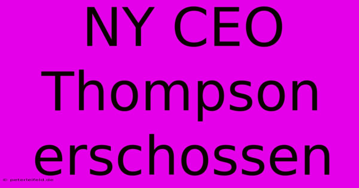 NY CEO Thompson Erschossen