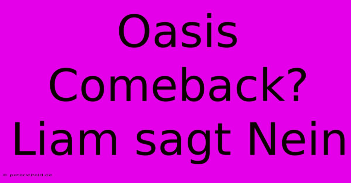 Oasis Comeback? Liam Sagt Nein