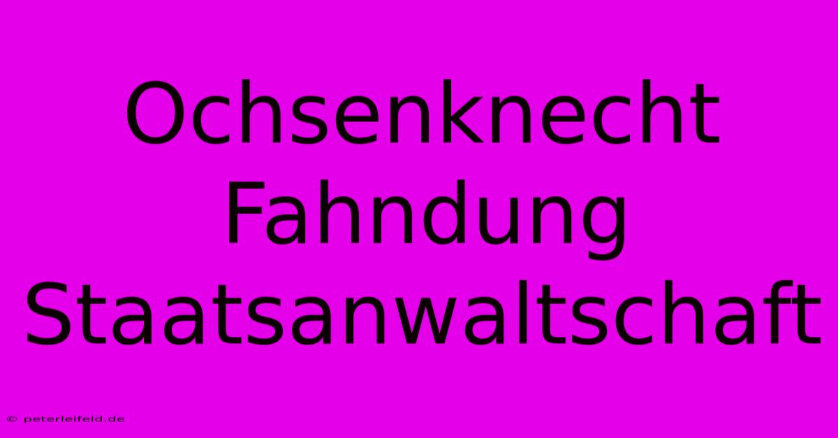 Ochsenknecht Fahndung Staatsanwaltschaft