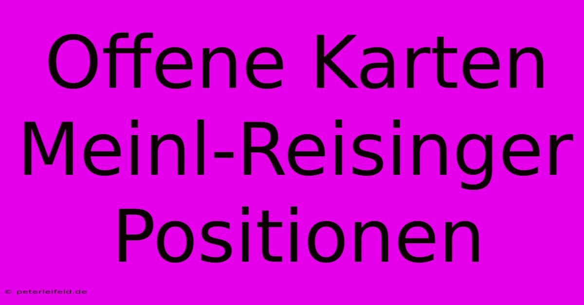 Offene Karten Meinl-Reisinger Positionen