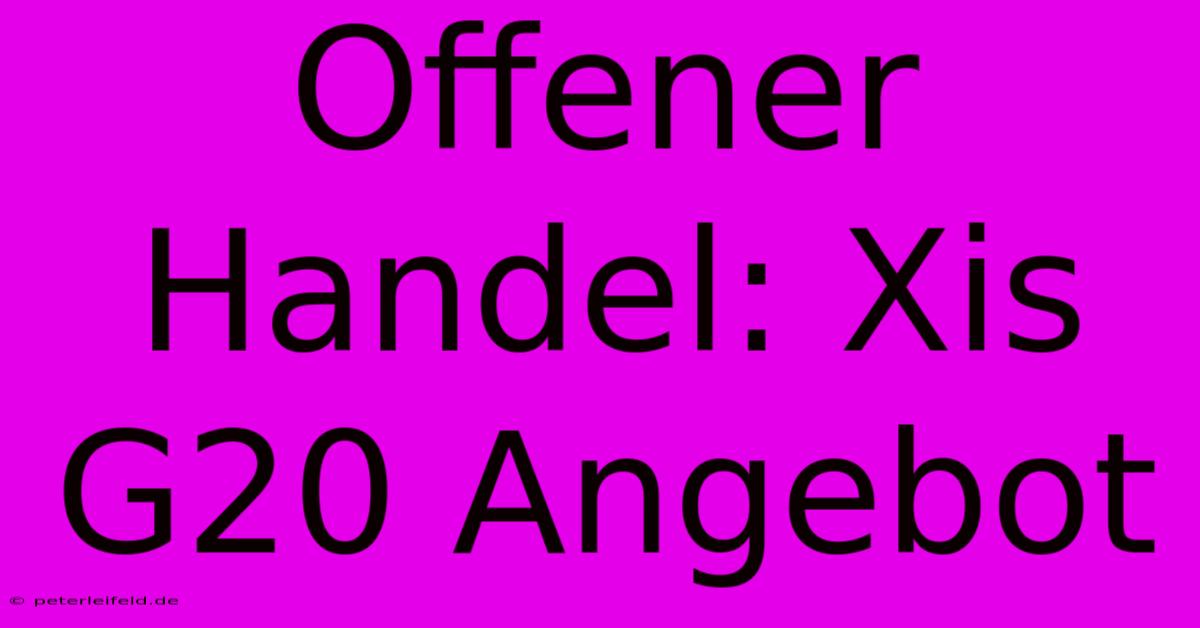 Offener Handel: Xis G20 Angebot