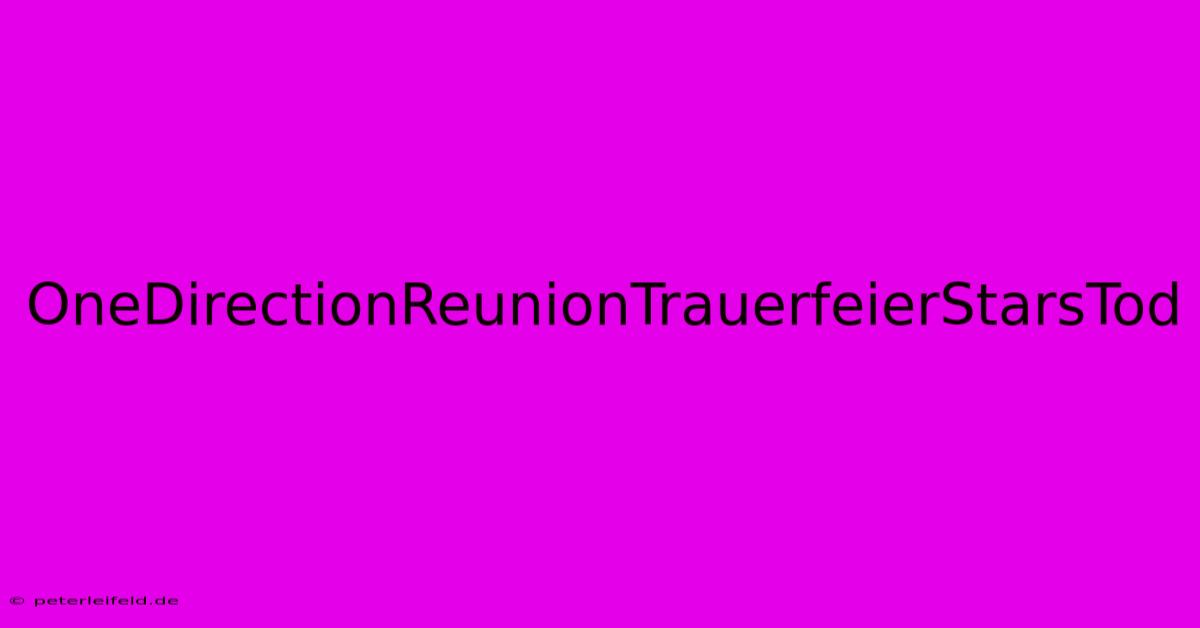 OneDirectionReunionTrauerfeierStarsTod