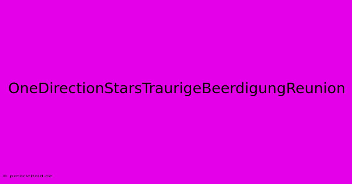 OneDirectionStarsTraurigeBeerdigungReunion