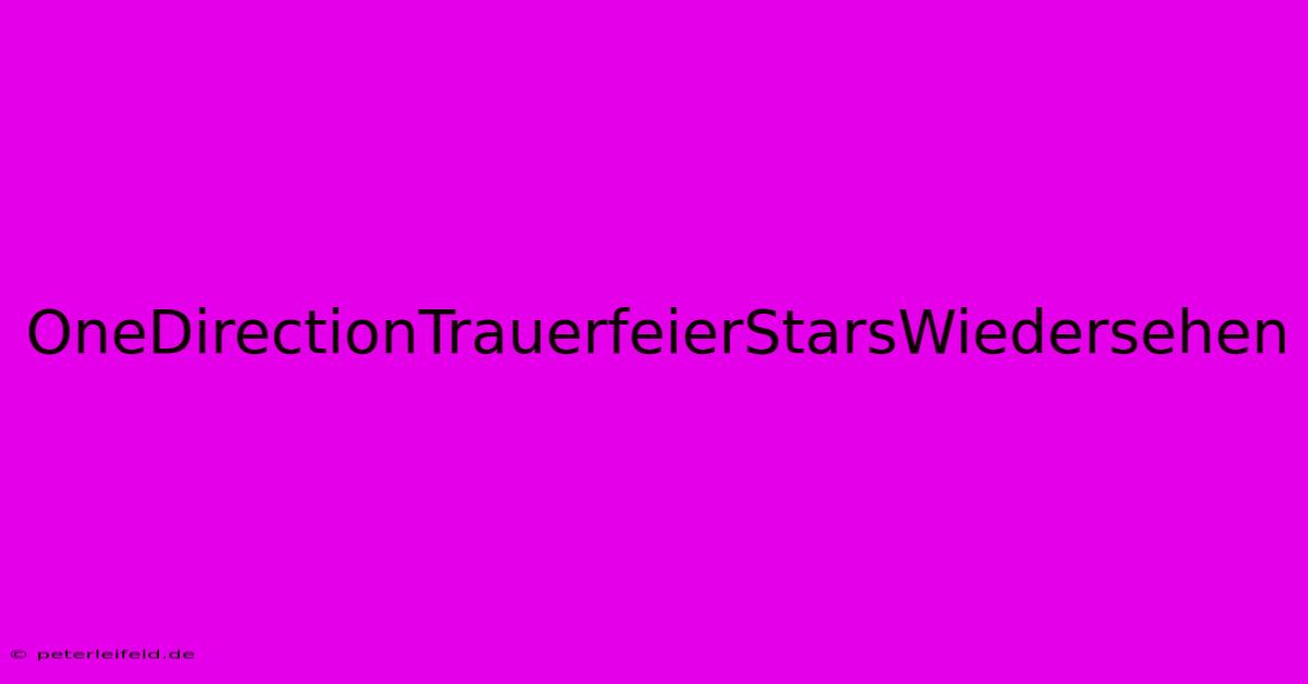 OneDirectionTrauerfeierStarsWiedersehen