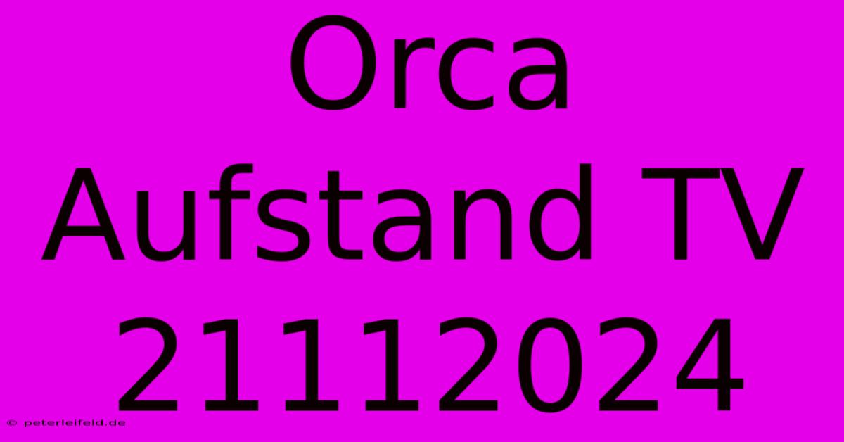 Orca Aufstand TV 21112024