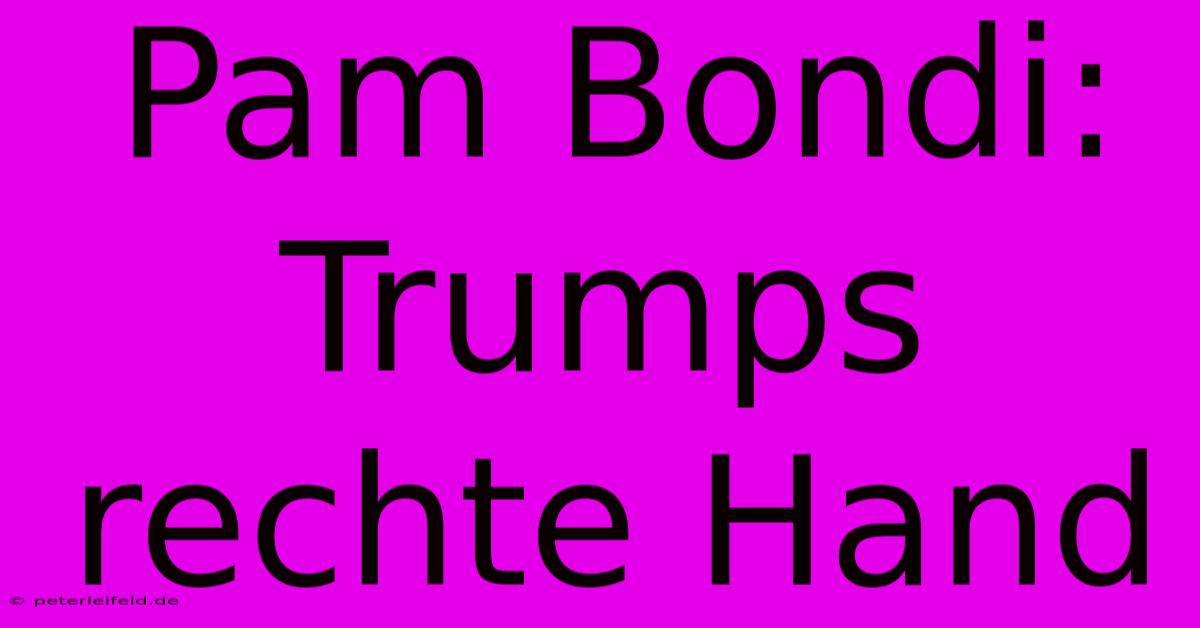 Pam Bondi: Trumps Rechte Hand