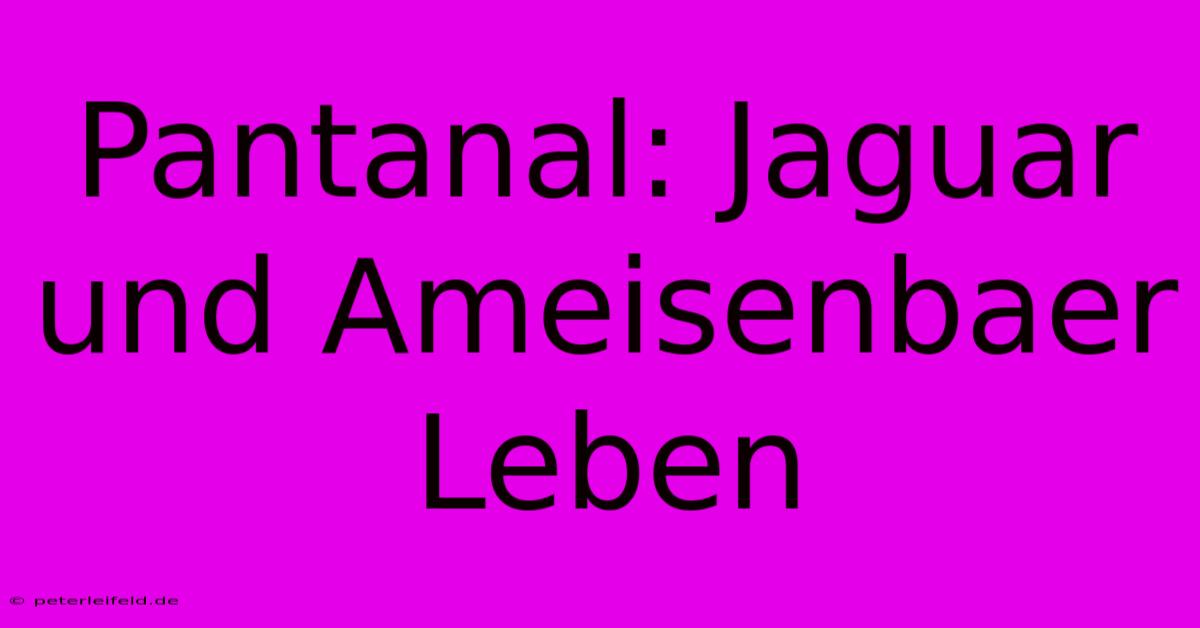 Pantanal: Jaguar Und Ameisenbaer Leben