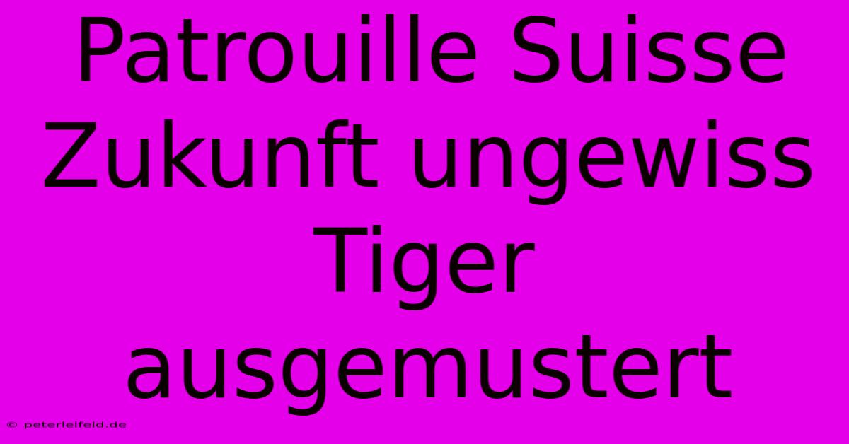 Patrouille Suisse Zukunft Ungewiss Tiger Ausgemustert