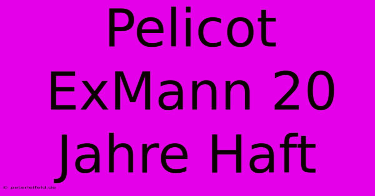 Pelicot ExMann 20 Jahre Haft