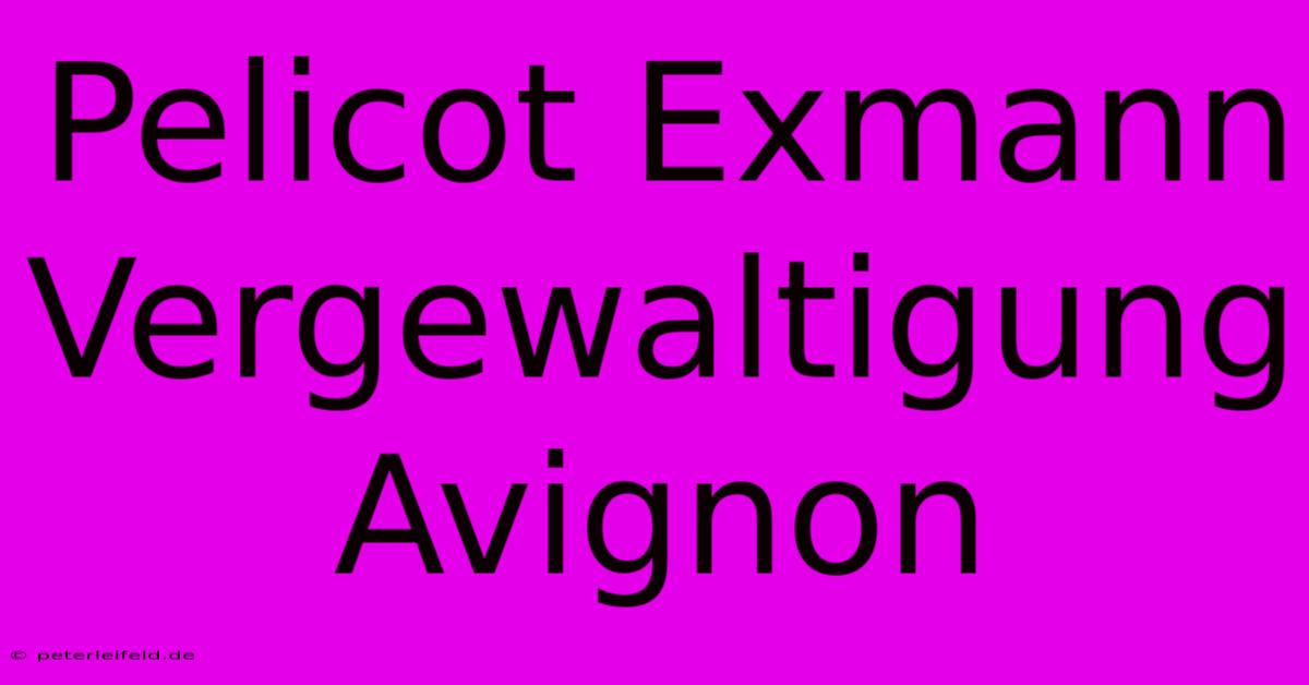 Pelicot Exmann Vergewaltigung Avignon