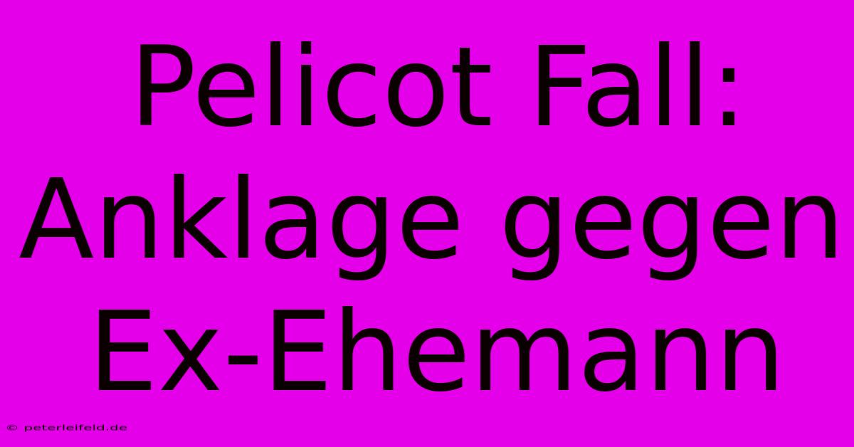 Pelicot Fall: Anklage Gegen Ex-Ehemann