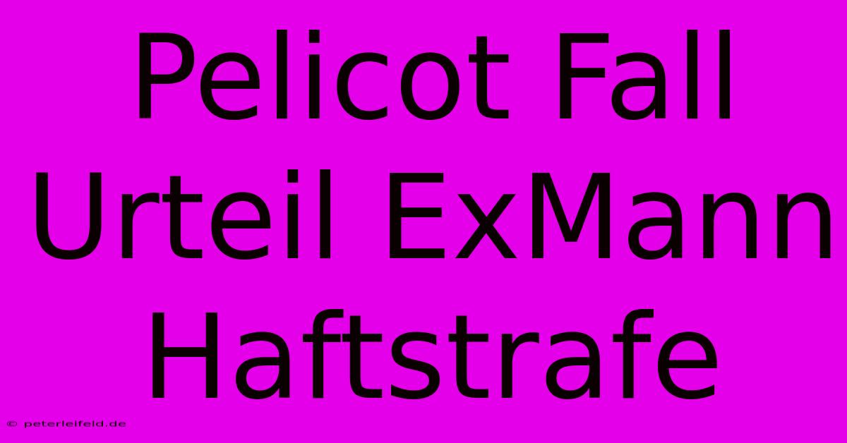 Pelicot Fall Urteil ExMann Haftstrafe