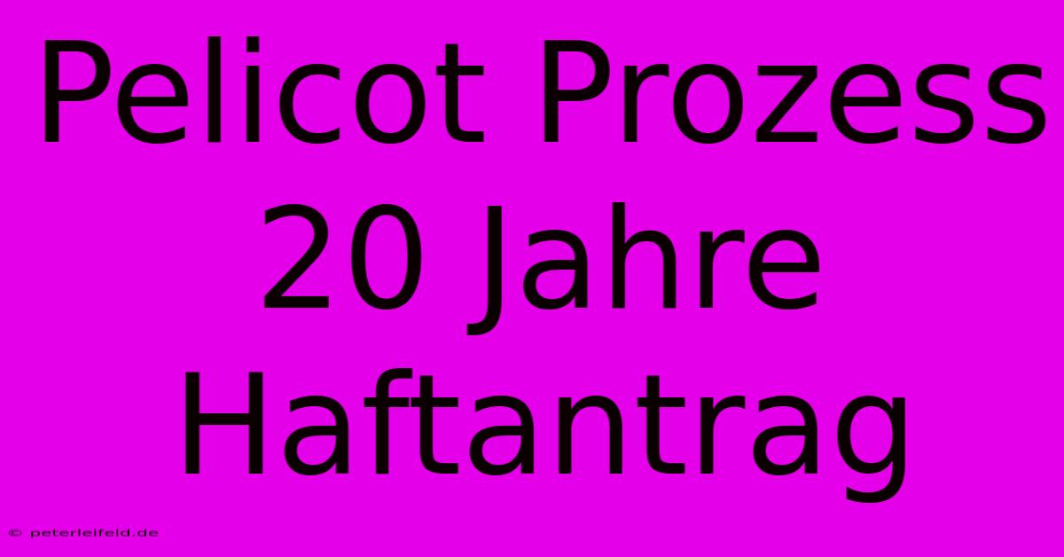 Pelicot Prozess 20 Jahre Haftantrag