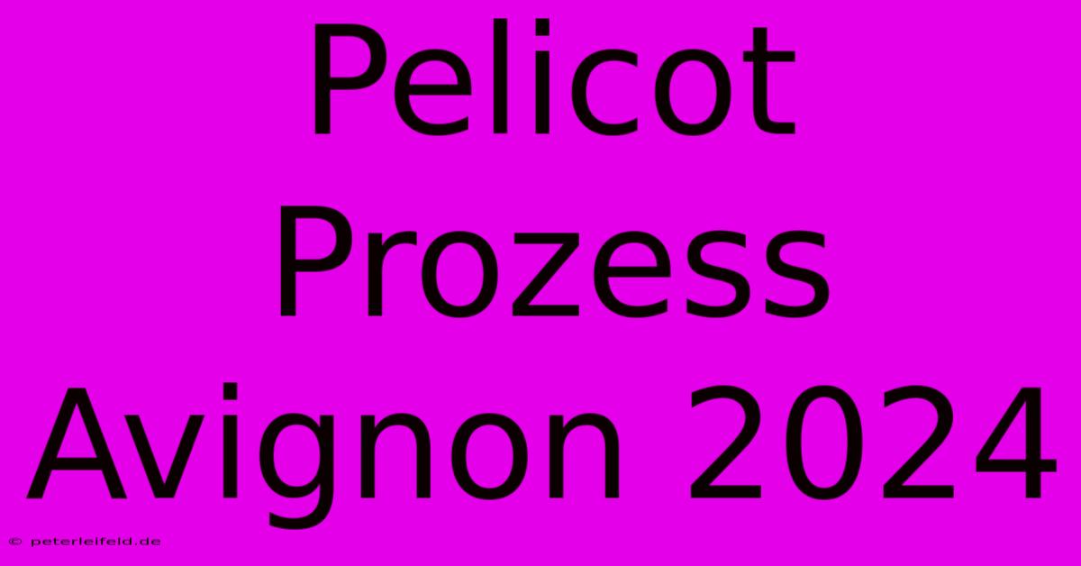 Pelicot Prozess Avignon 2024