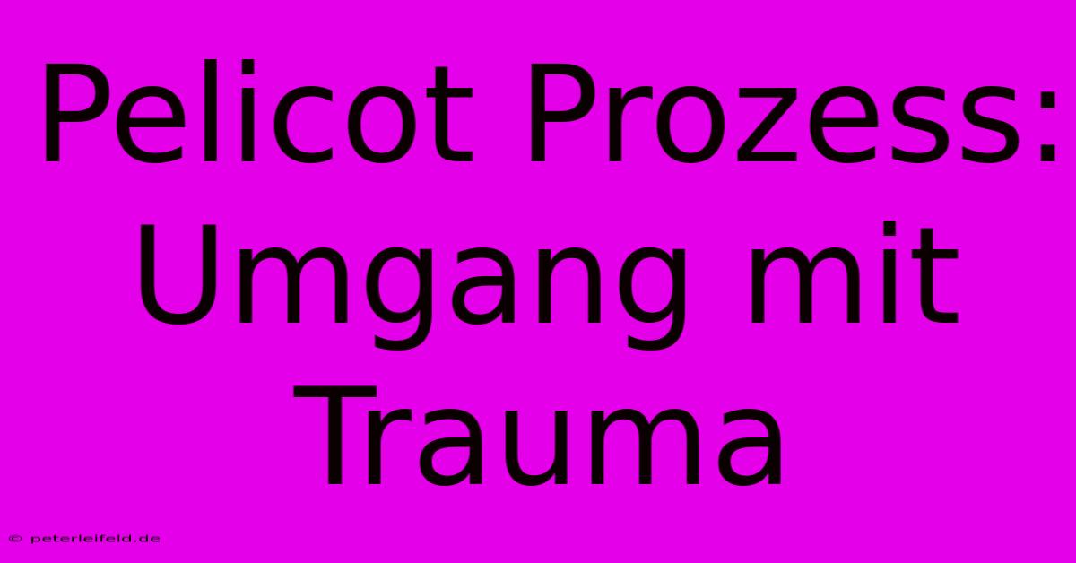 Pelicot Prozess: Umgang Mit Trauma