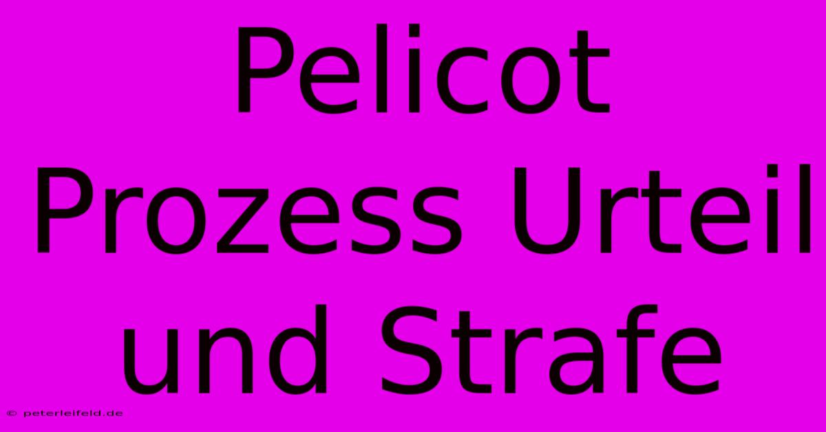 Pelicot Prozess Urteil Und Strafe