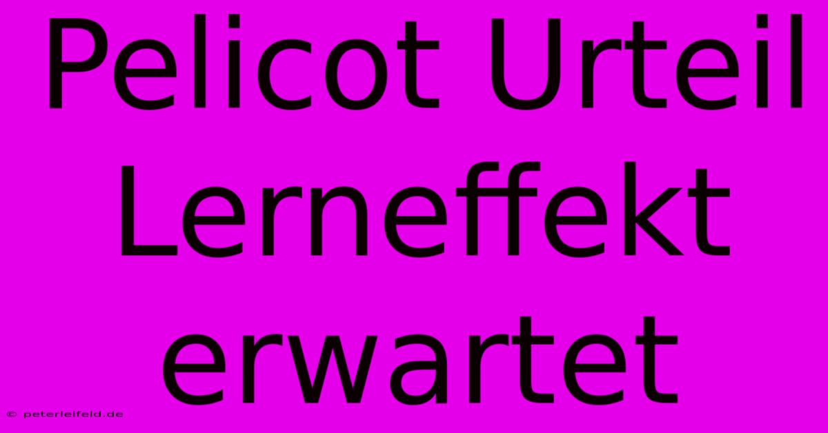 Pelicot Urteil Lerneffekt Erwartet