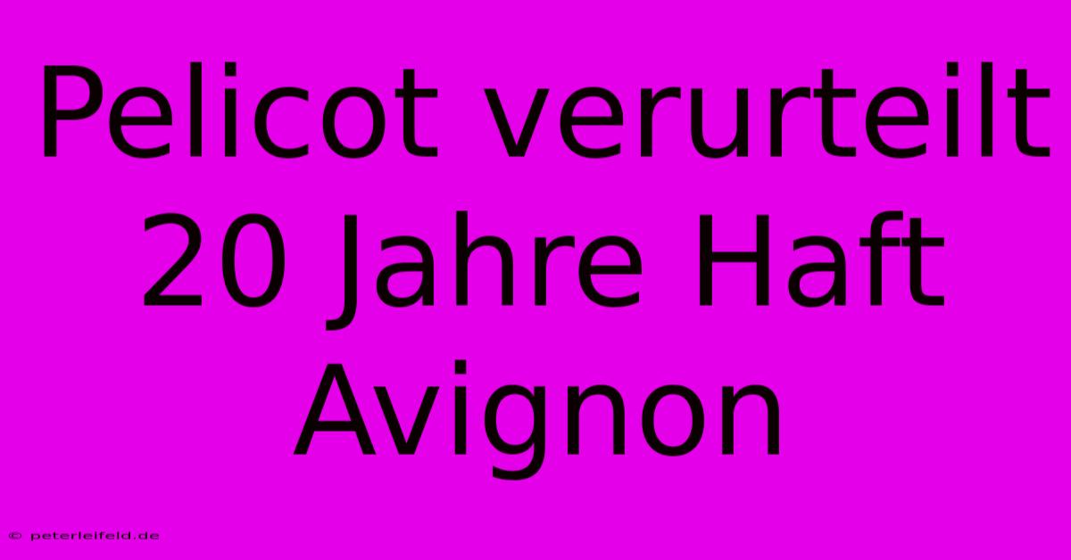 Pelicot Verurteilt 20 Jahre Haft Avignon