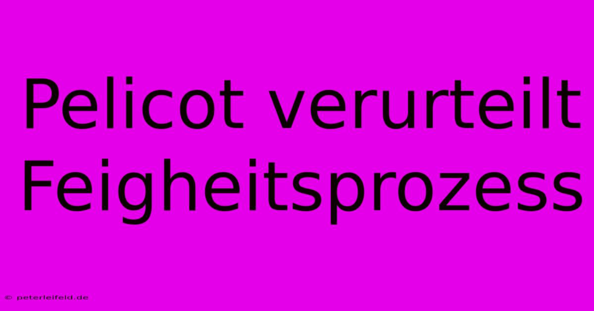 Pelicot Verurteilt Feigheitsprozess