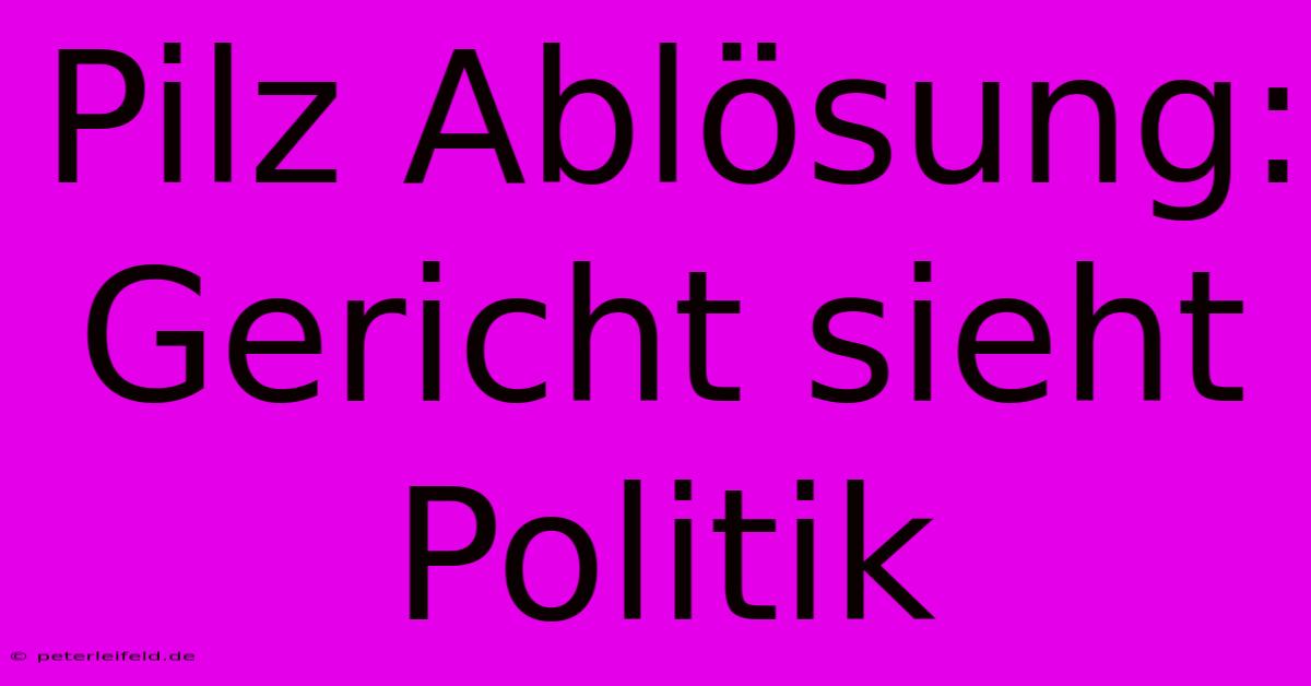 Pilz Ablösung: Gericht Sieht Politik