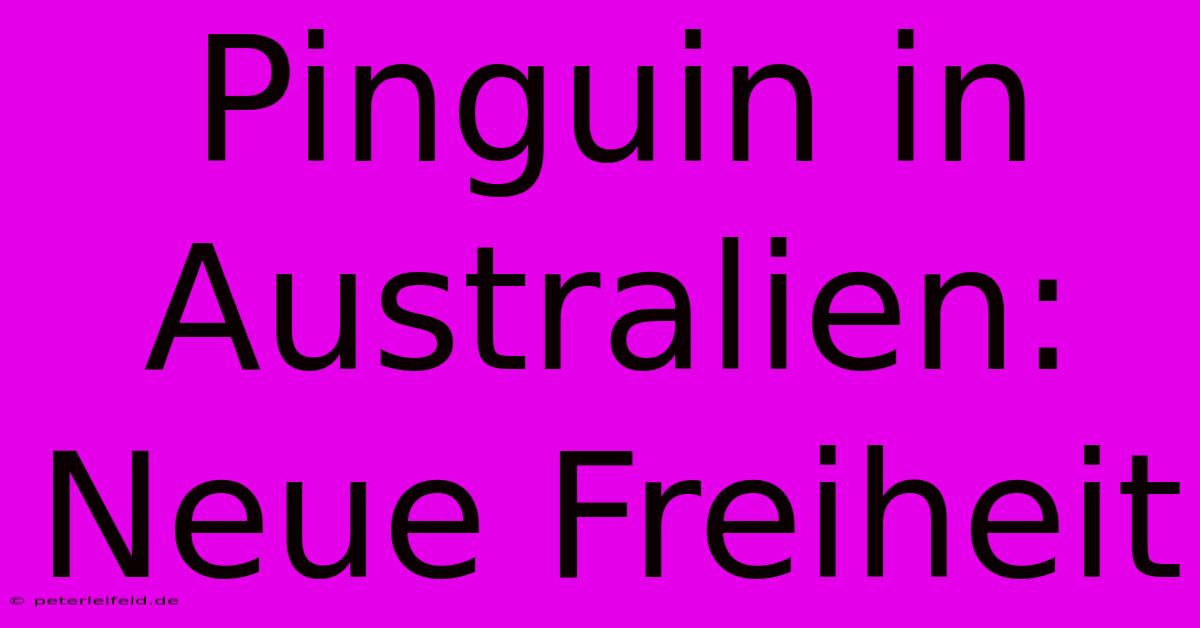 Pinguin In Australien:  Neue Freiheit