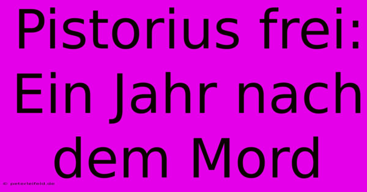 Pistorius Frei: Ein Jahr Nach Dem Mord