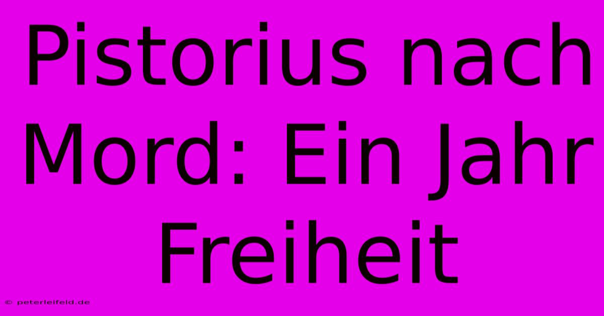 Pistorius Nach Mord: Ein Jahr Freiheit