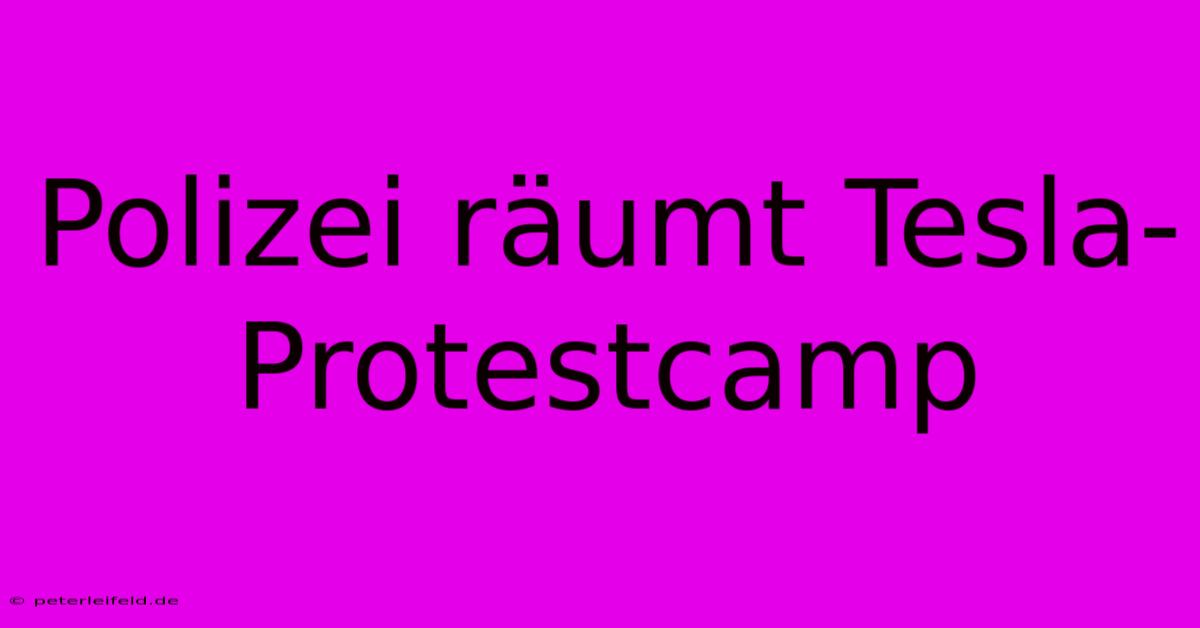 Polizei Räumt Tesla-Protestcamp