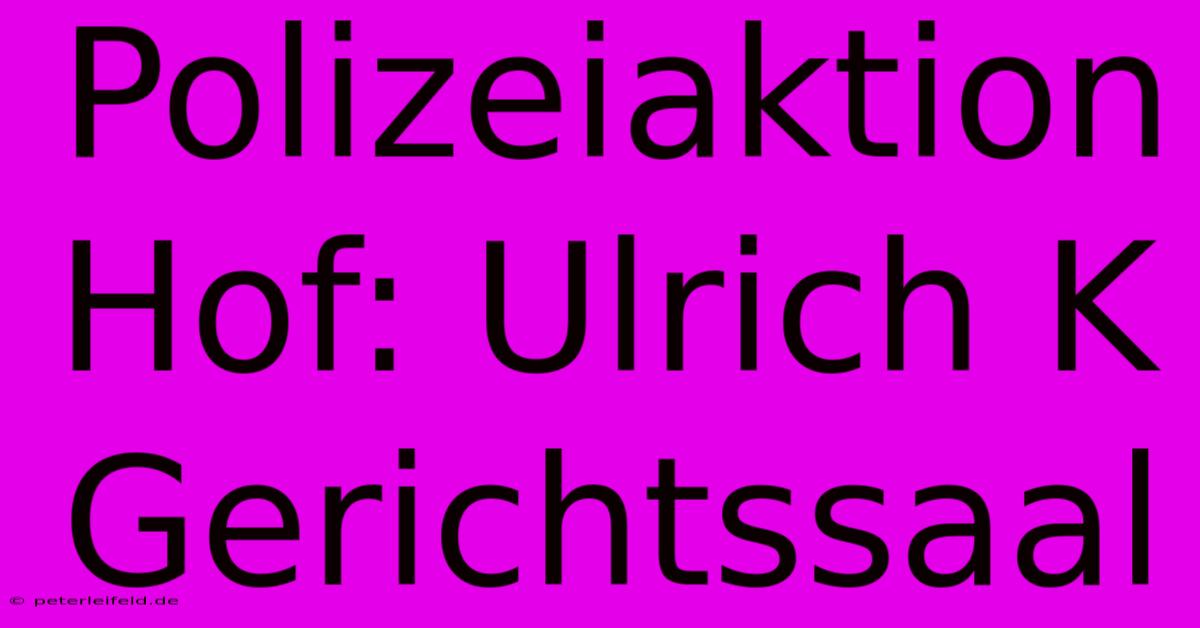 Polizeiaktion Hof: Ulrich K Gerichtssaal