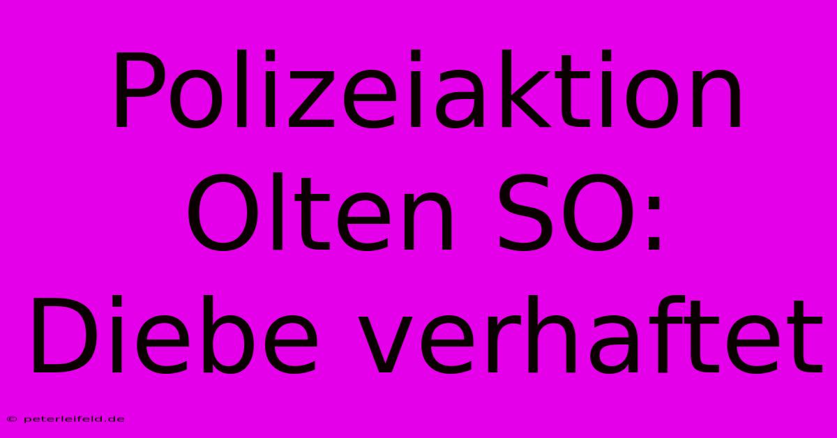 Polizeiaktion Olten SO: Diebe Verhaftet