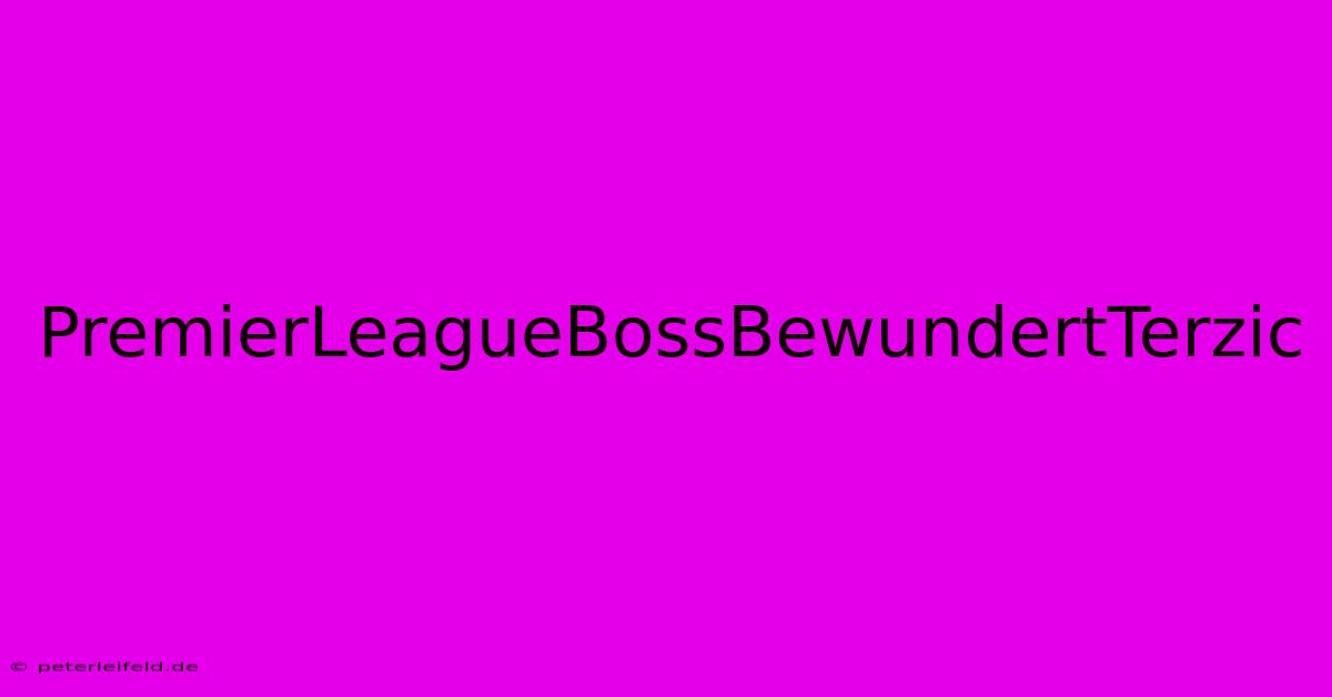 PremierLeagueBossBewundertTerzic