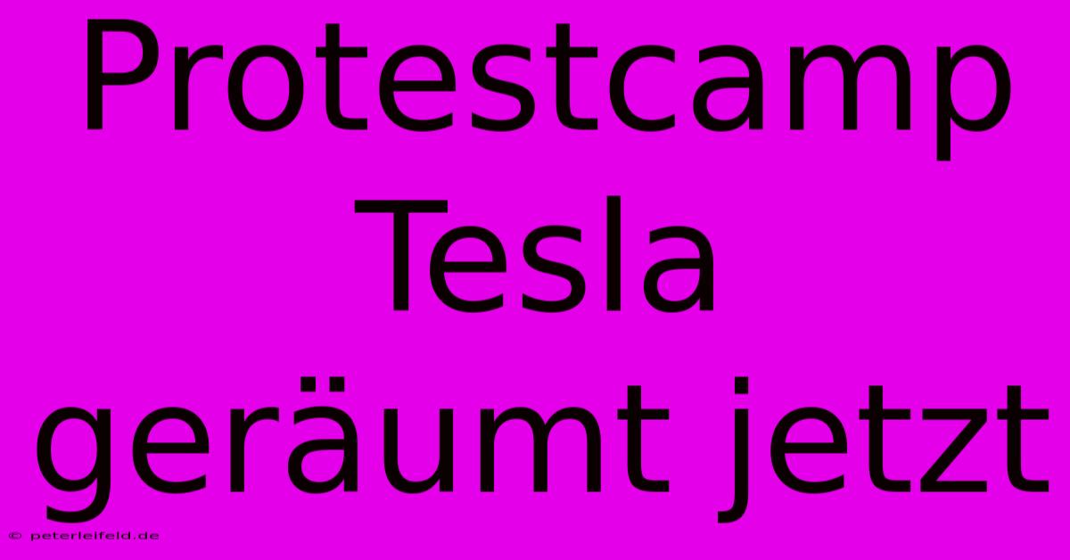 Protestcamp Tesla Geräumt Jetzt