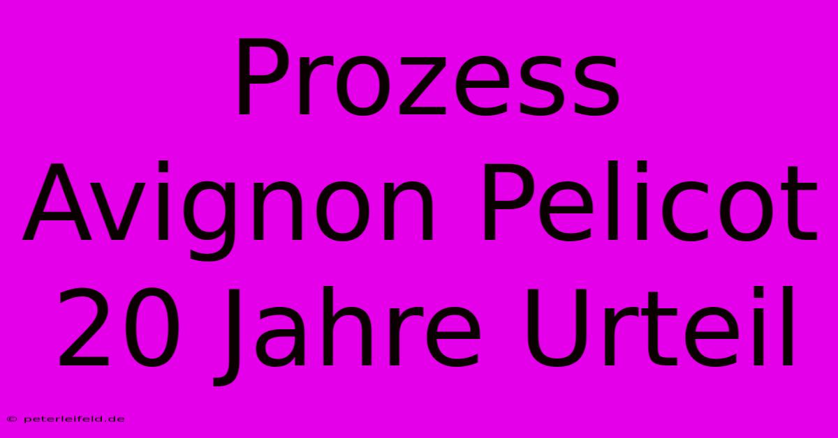 Prozess Avignon Pelicot 20 Jahre Urteil