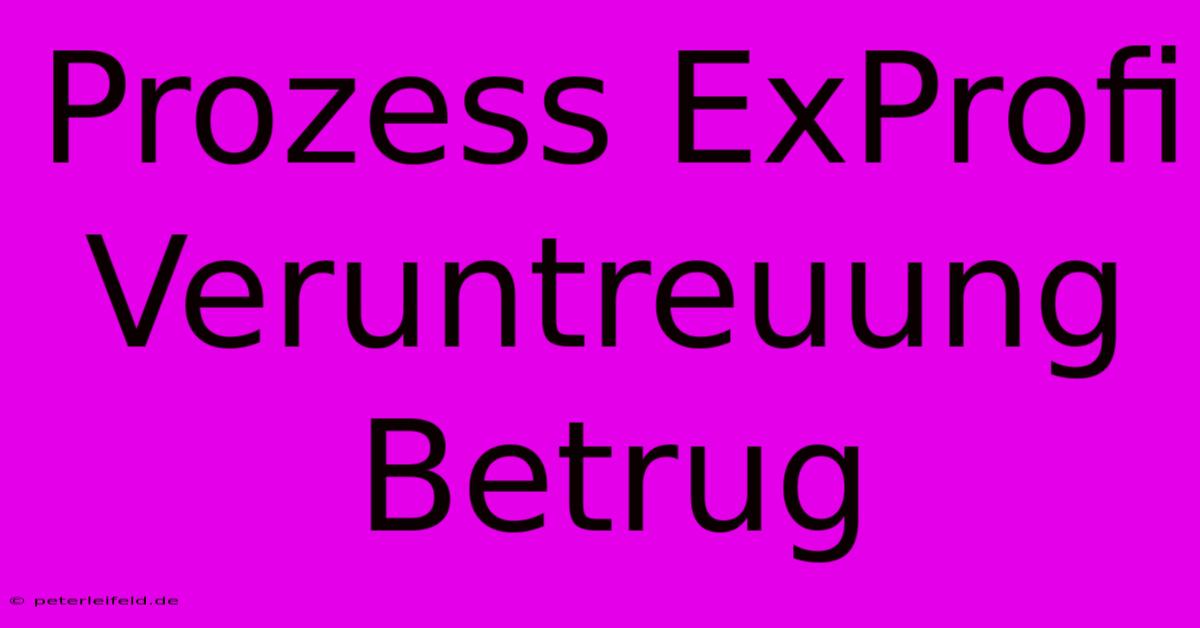 Prozess ExProfi Veruntreuung Betrug