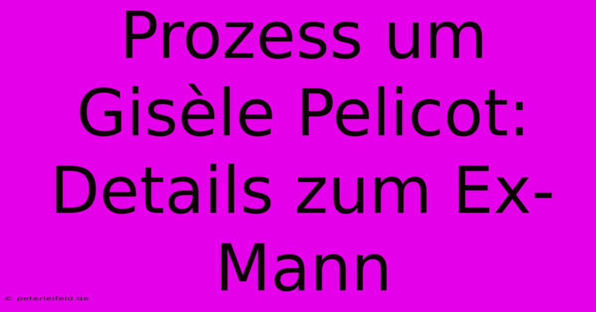 Prozess Um Gisèle Pelicot: Details Zum Ex-Mann