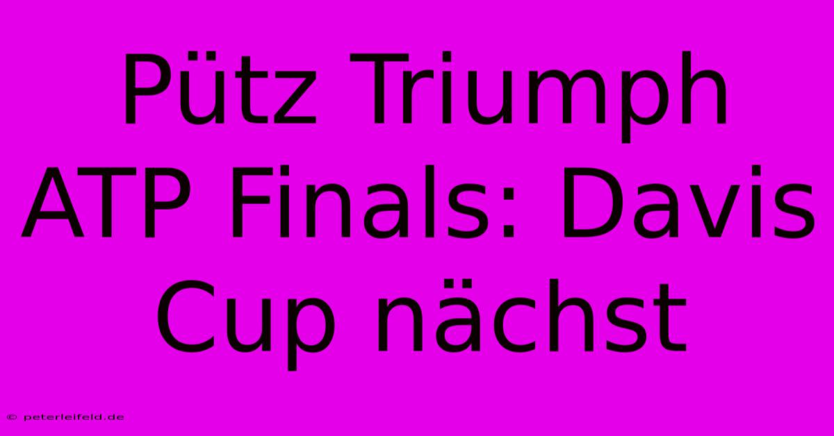 Pütz Triumph ATP Finals: Davis Cup Nächst