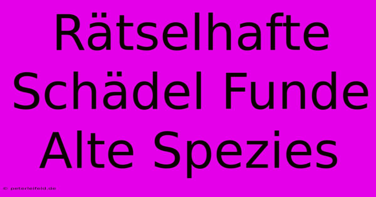 Rätselhafte Schädel Funde Alte Spezies