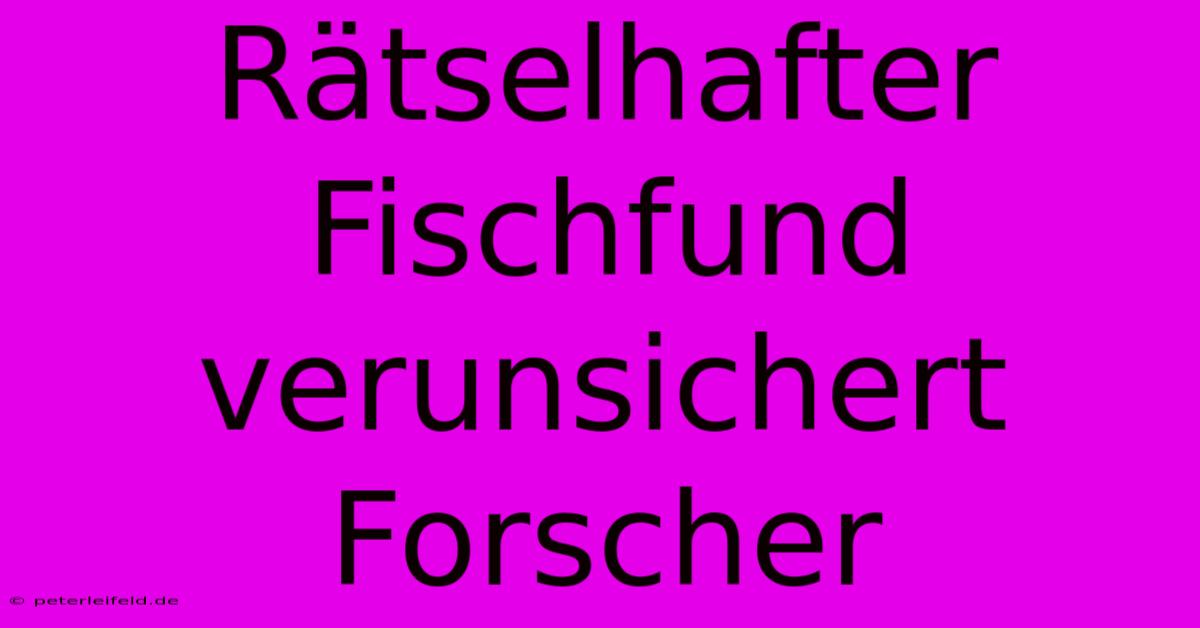 Rätselhafter Fischfund Verunsichert Forscher