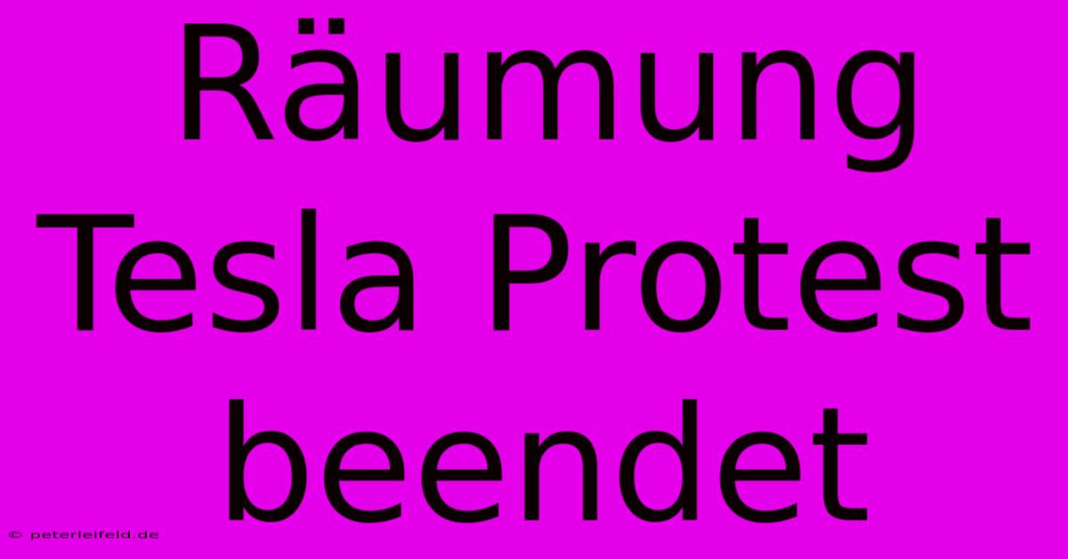 Räumung Tesla Protest Beendet