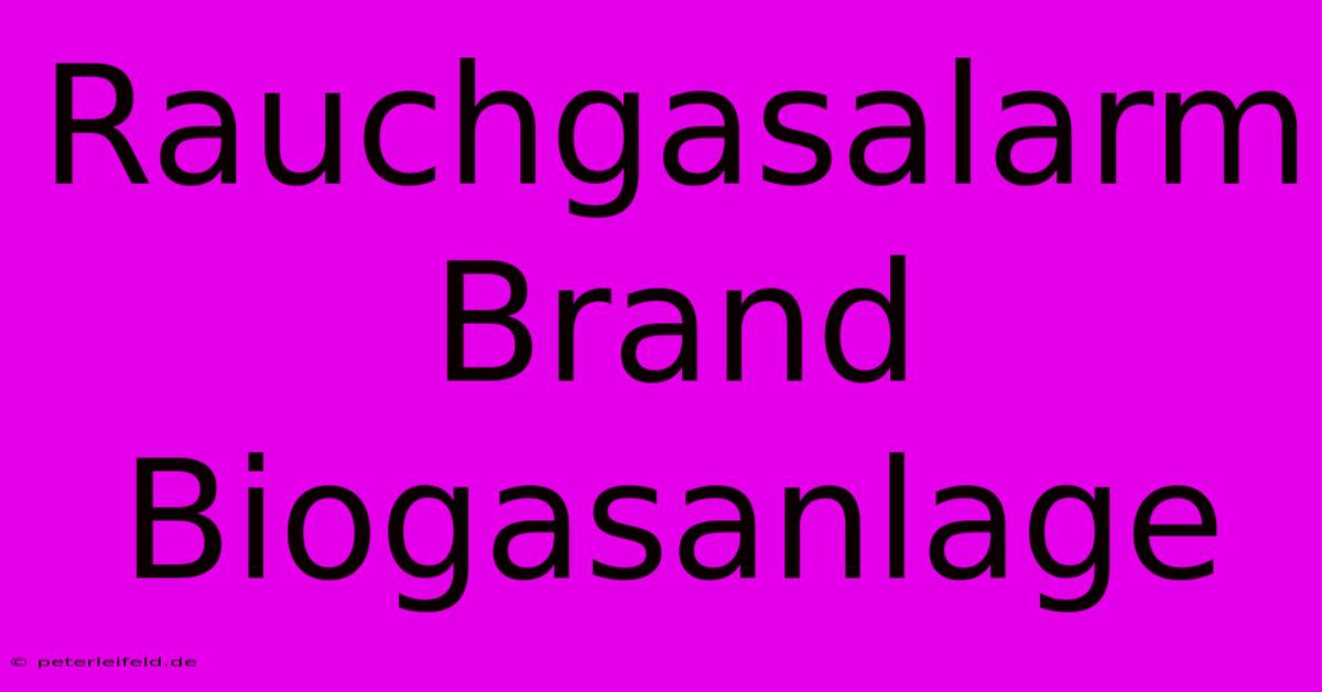 Rauchgasalarm Brand Biogasanlage