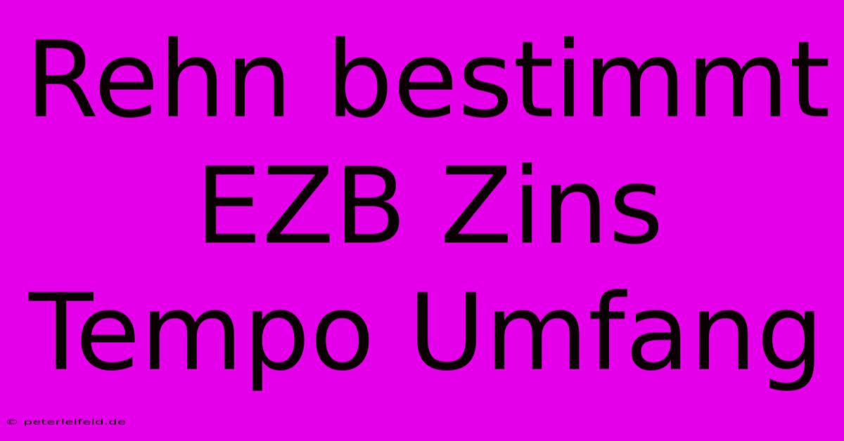 Rehn Bestimmt EZB Zins Tempo Umfang