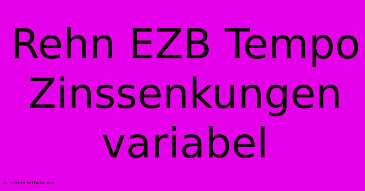 Rehn EZB Tempo Zinssenkungen Variabel