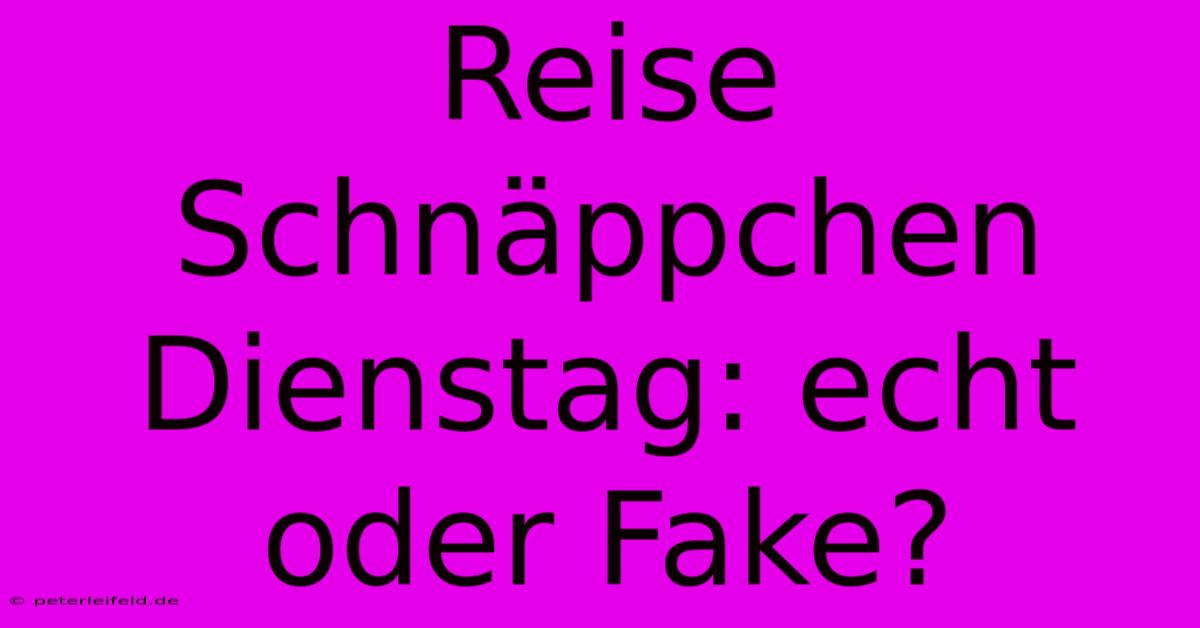 Reise Schnäppchen Dienstag: Echt Oder Fake?