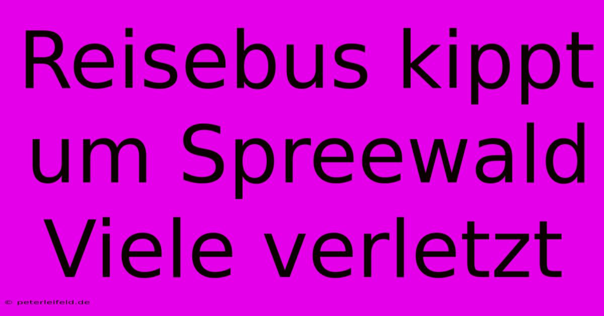 Reisebus Kippt Um Spreewald Viele Verletzt