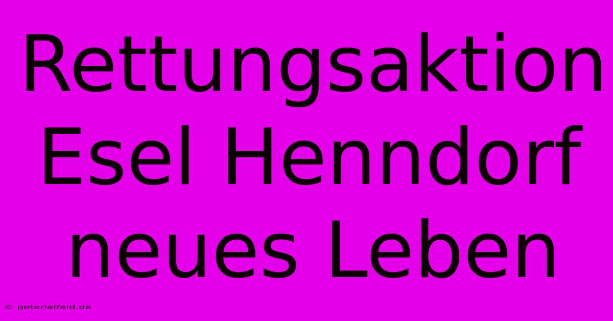 Rettungsaktion Esel Henndorf Neues Leben