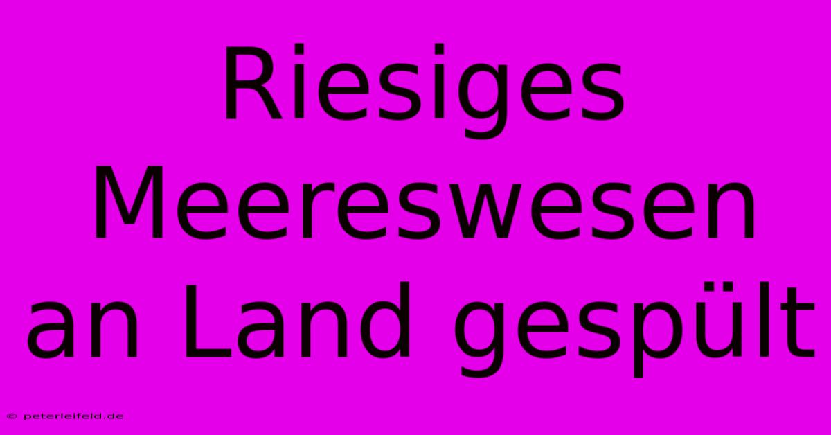 Riesiges Meereswesen An Land Gespült